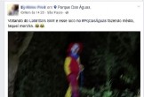 Em rede social, jovem diz ter visto palhaço no Paque das águas, na Zona Leste de São Paulo. Foto: Reprodução/Facebook